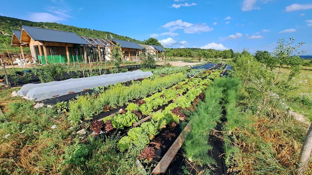 Regenerativna mikrofarma za biointenzivnu proizvodnju povrća Krušvar