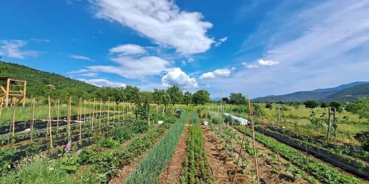 Regenerativna mikrofarma za biointenzivnu proizvodnju povrća Krušvar