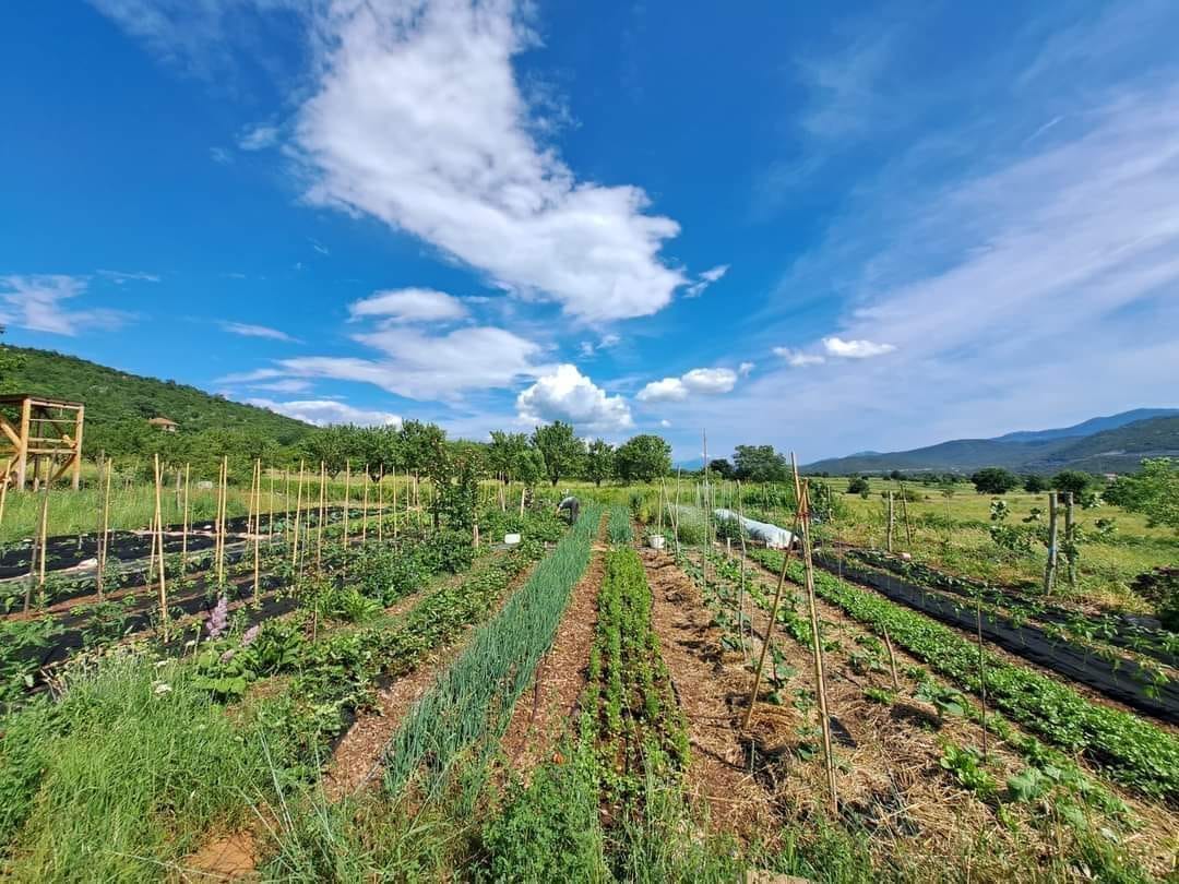 Regenerativna mikrofarma za biointenzivnu proizvodnju povrća Krušvar