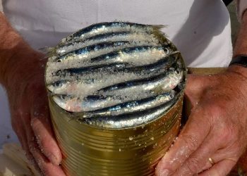 POZIV: Okusi i mirisi mora - kulinarske radionice soljenja ribe i pripreme ribarskog brudeta od srdela Skola soljenja srdela Foto TZ Fazana Škola soljenja srdela Foto TZ Fažana