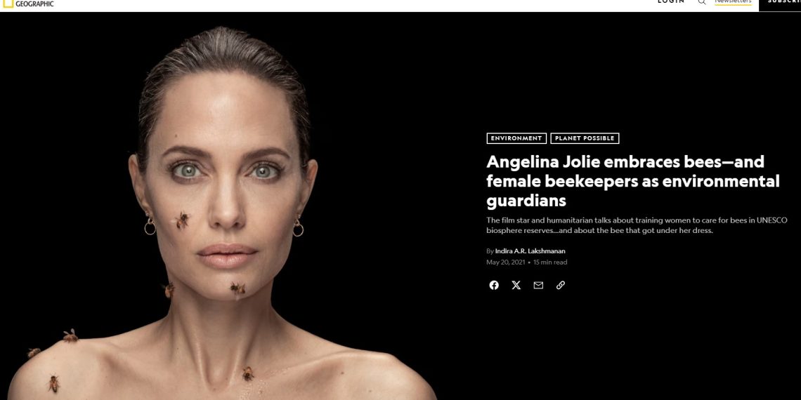 Angellina Jolie s pčelama National Geographic