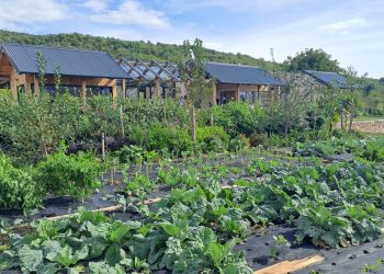 Regenerativna farma Krušvar