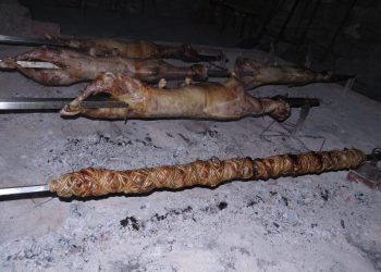 Gažul - tri janjca i brački vitalac Snimio Mladen Gerovac