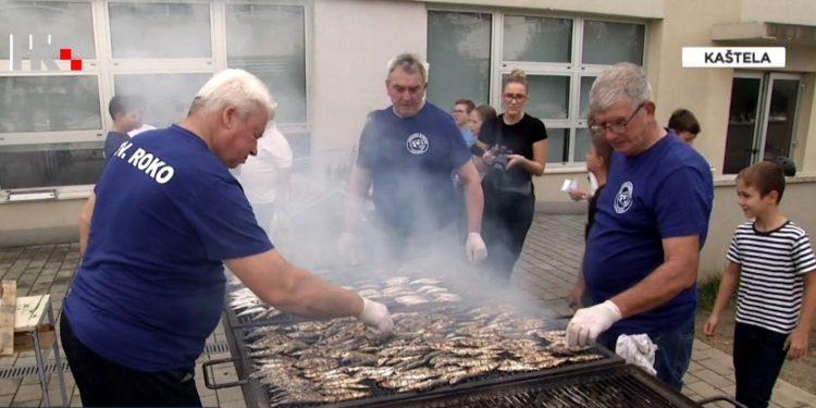 Na 8. Srdelijadi u OŠ Bijaći / Screenshot, HRT