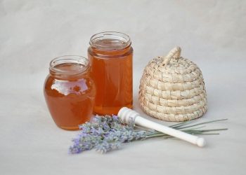 OLINTIO: Med sa Šolte kojeg su stari Grci smatrali najboljim na svijetu dalmatinski med objava final Dalmatinski med / Izvor: Ministarstvo poljoprivrede