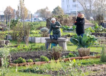 Urbana poljoprivreda u Zagrebu: Certificiranje poljoprivrednih proizvođača, nabava 15% ekoloških poljoprivrednih proizvoda za osnovne škole Gradski vrt u Mandlovoj Zagreb.hr Gradski vrt Mandlova u Zagrebu / Izvor: Zagreb.hr