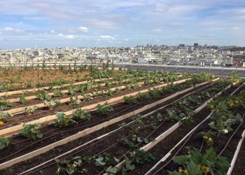 Pogled na Pariz s krovnog vrta opera Bastilla