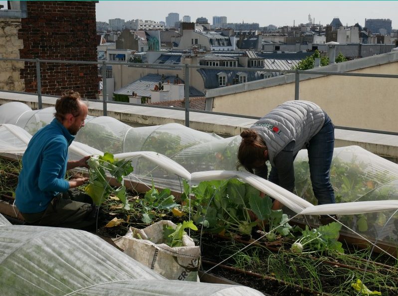 Na krovnoj farmi Opere Bastille radi dvoje stalno zaposlenih Vrt u funkciji na krovu Opere Bastille Priprema terena na jednom od krovnih vrtova na Operi Bastille / Izvor: https://www.parisculteurs.paris/fr