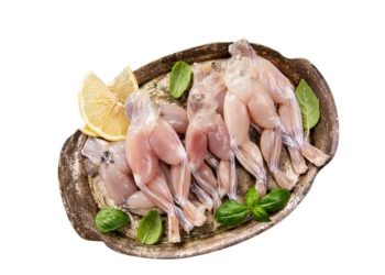 Povlačenje vijetnamskih žabljih krakova iz Pivca zbog utvrđene salmonele Zablji kraci Pivac Žablji kraci, ilustrativna fotografija / Izvor: Hapih.hr